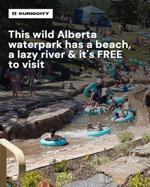 Image post by @curiocitycalgary on Instagram