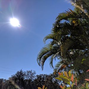 Image post by @visitsarasotacounty on Instagram