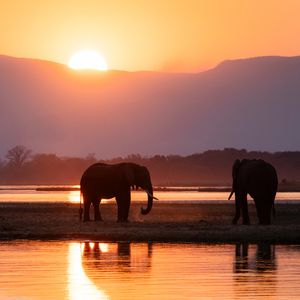 Image post by @chiawasafaris on Instagram