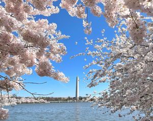 Image post by @nationalparkservice on Instagram