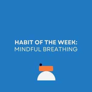 Image post by @sweatyoga on Instagram