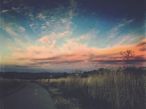 Image post by @adamschmisek on Instagram