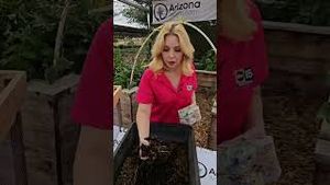 Video post by @abc15 on YouTube