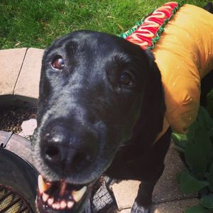 Image post by @moritzcrackerswithcheese on Instagram