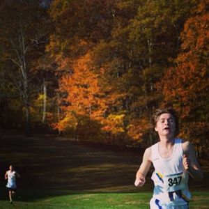 Image post by @hofstratrackxc on Instagram