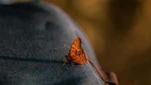 Image post by @ravi_mody on Instagram