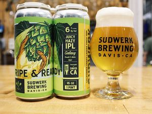 Image post by @sudwerkbrew on Instagram