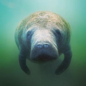 Image post by @discovery on Instagram