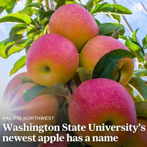 Image post by @theoregonian on Instagram