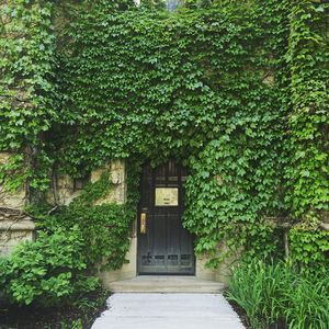 Image post by @uchicago on Instagram