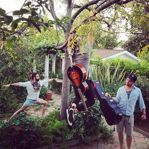 Image post by @magicgiant on Instagram