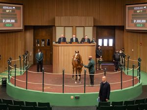 Image post by @keeneland on Instagram
