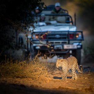 Image post by @chiawasafaris on Instagram