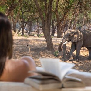 Image post by @chiawasafaris on Instagram
