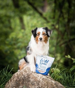 Image post by @triumphpetfood on Instagram
