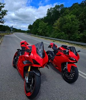Image post by @panigalers on Instagram