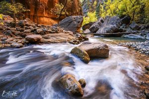 Image post by @nationalparkscollective on Instagram