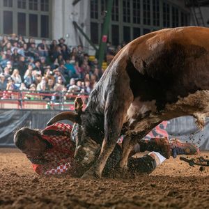Image post by @bullfightersonly on Instagram