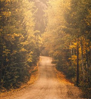 Image post by @trevorfrench on Instagram