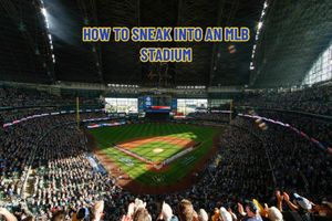 Image post by @brewers on TikTok