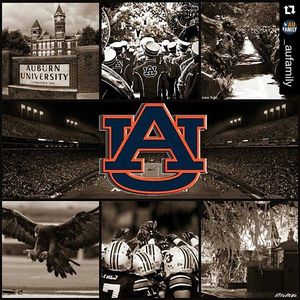 Image post by @auburnmgolf on Instagram