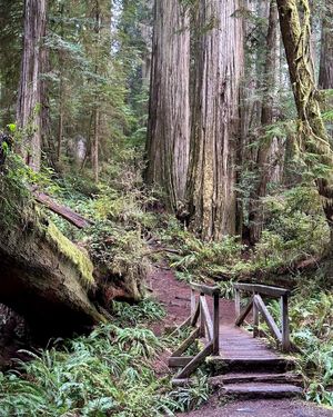 Image post by @nationalparkscollective on Instagram