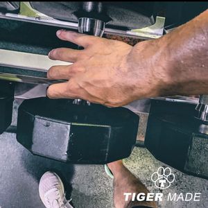 Image post by @rawlingstigers on Instagram