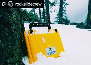 Image post by @seahorsecases on Instagram