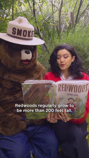Video post by @smokey_bear on Twitter/X