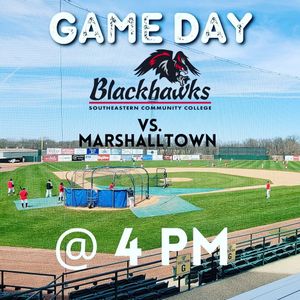 Image post by @burlington_bees on Instagram