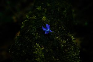 Image post by @jackportunephotography on Instagram