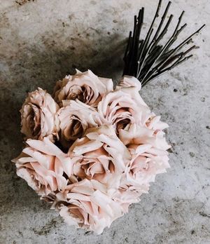 Image post by @the_afterwhite on Instagram