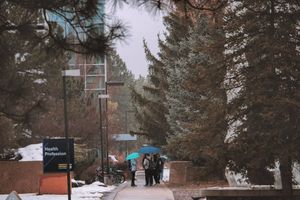Image post by @nauflagstaff on Instagram