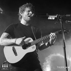 Image post by @tgrliveevents on Instagram