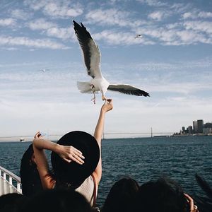 Image post by @onlyinsf on Instagram