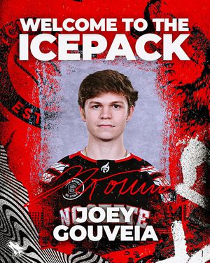 Image post by @ncstatehockey on Instagram