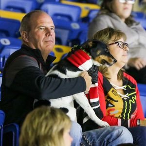 Image post by @rockfordicehogs on Instagram