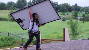 Image post by @DolphinSolarProject on Facebook