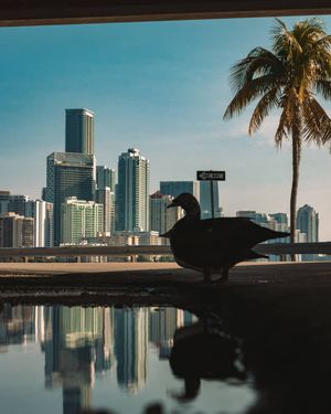 Image post by @serfermedia on Instagram