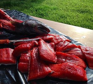 Image post by @meateater on Instagram