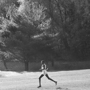 Image post by @hofstratrackxc on Instagram