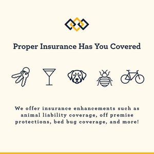 Image post by @properinsurance on Instagram