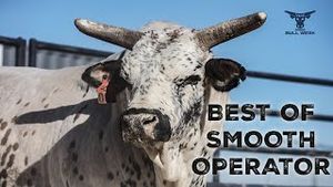 Video post by @pbr on YouTube