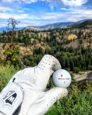 Image post by @wilsongolfcanada on Instagram