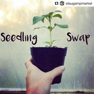 Image post by @stjohnscountylibrary on Instagram