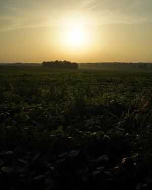 Image post by @fotodioxpro on Instagram