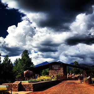 Image post by @nautrackfieldxc on Instagram