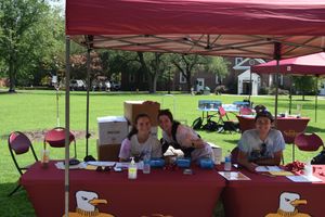 Image post by @suseagulls on Instagram