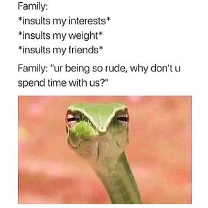 Image post by @the.virtual.bitch on Instagram