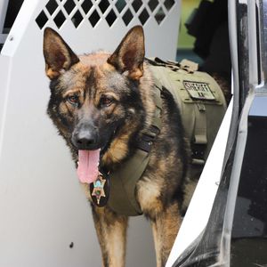Image post by @vcsheriff on Instagram